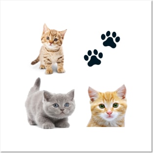 Awesome kitten cat love - cat lover pack Posters and Art